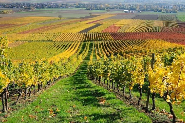 مبيت وإفطار Rosignano Monferrato Cascina Manu المظهر الخارجي الصورة