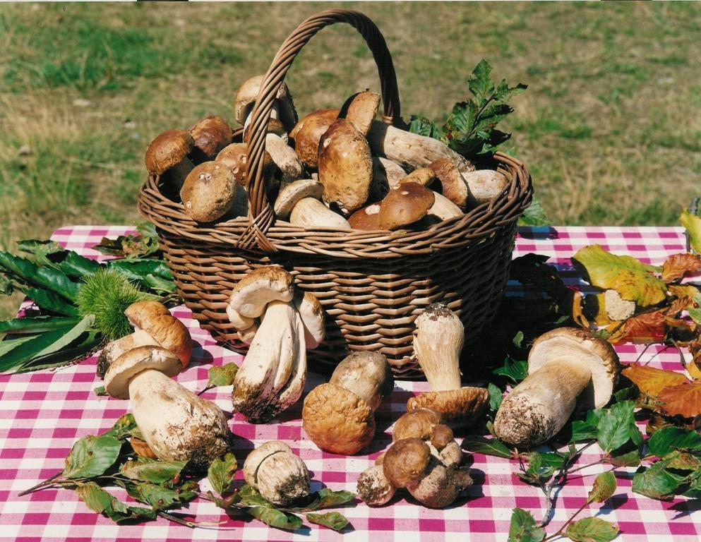 مبيت وإفطار Rosignano Monferrato Cascina Manu المظهر الخارجي الصورة