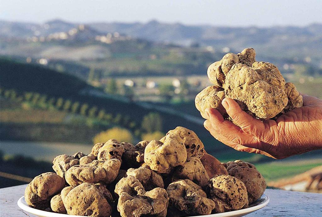 مبيت وإفطار Rosignano Monferrato Cascina Manu المظهر الخارجي الصورة