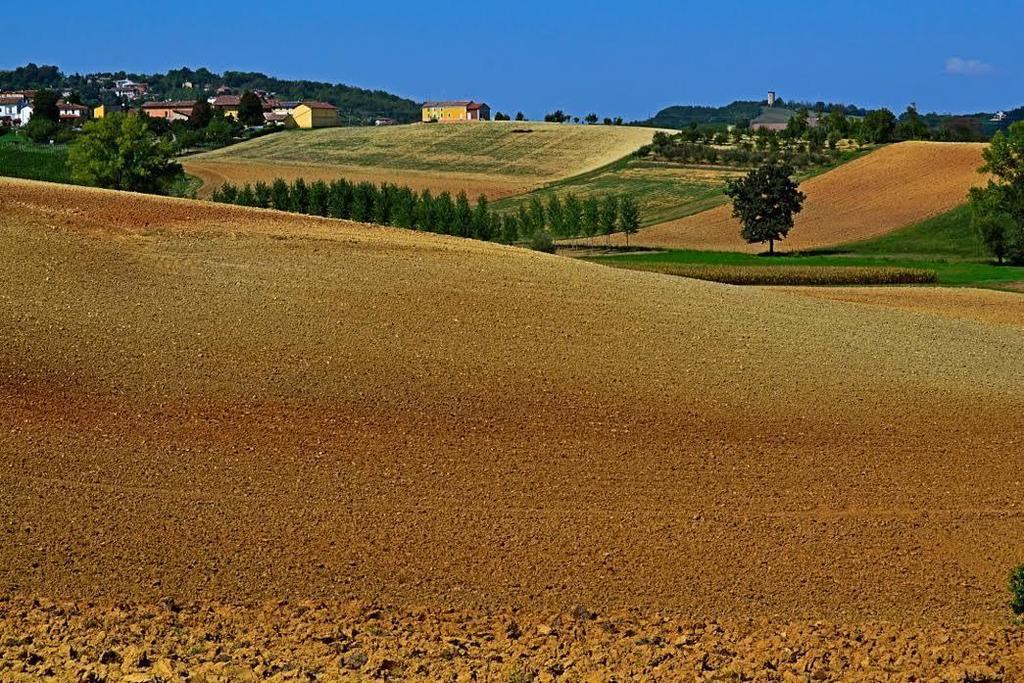 مبيت وإفطار Rosignano Monferrato Cascina Manu المظهر الخارجي الصورة