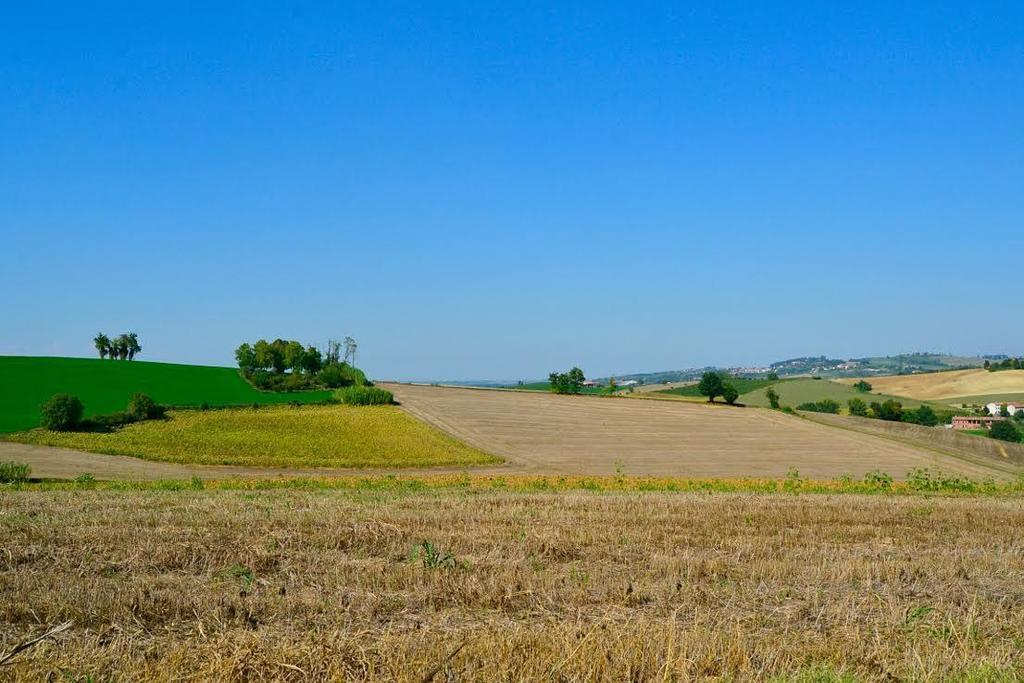 مبيت وإفطار Rosignano Monferrato Cascina Manu المظهر الخارجي الصورة