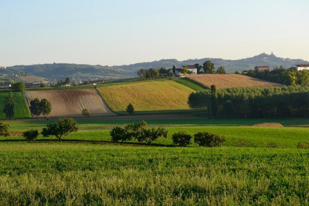 مبيت وإفطار Rosignano Monferrato Cascina Manu المظهر الخارجي الصورة