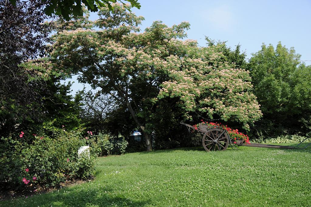 مبيت وإفطار Rosignano Monferrato Cascina Manu المظهر الخارجي الصورة