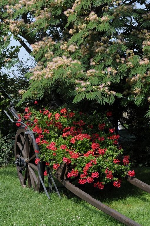 مبيت وإفطار Rosignano Monferrato Cascina Manu المظهر الخارجي الصورة